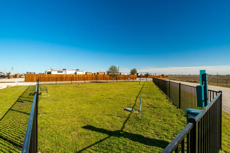 Dog Park